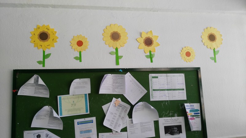 IMG 20190204 145212 [1600x1200]